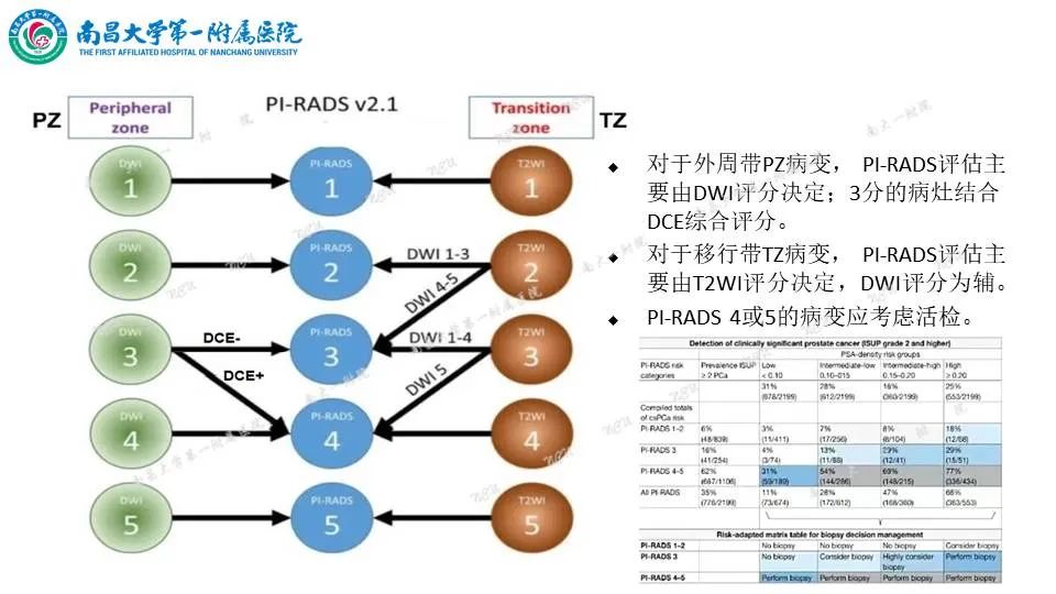 影像PPT - 【PPT】前列腺影像报告和数据系统 PI-RADS V2.1-11