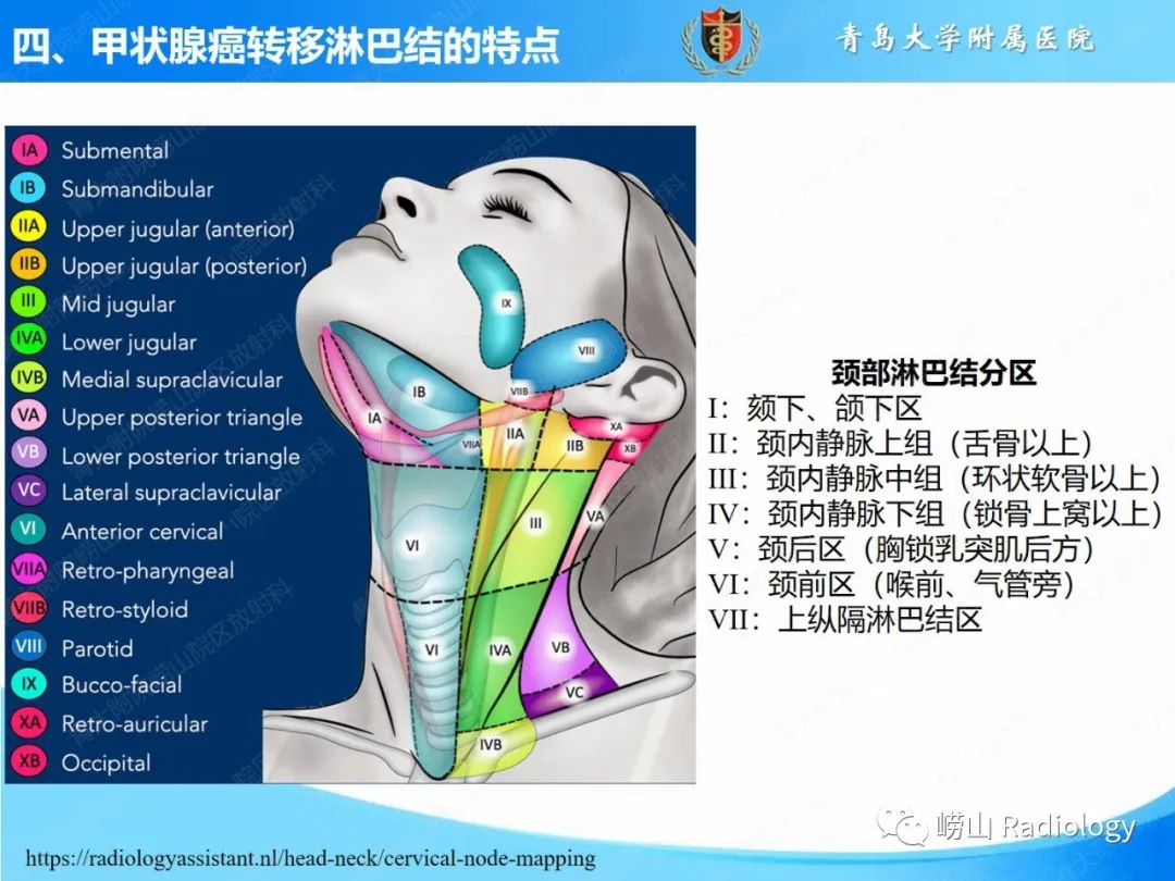 影像PPT - 【PPT】甲状腺癌及其转移淋巴结的影像诊断及鉴别诊断-21