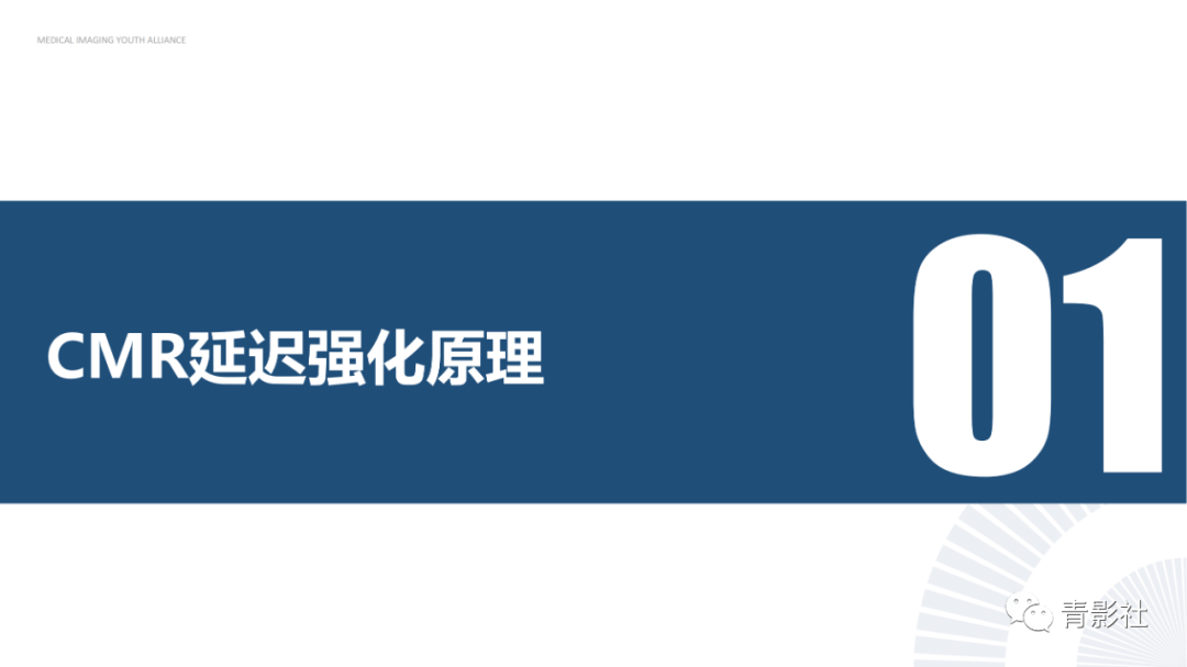影像PPT - 【PPT】心内膜下延迟强化诊断思路-4