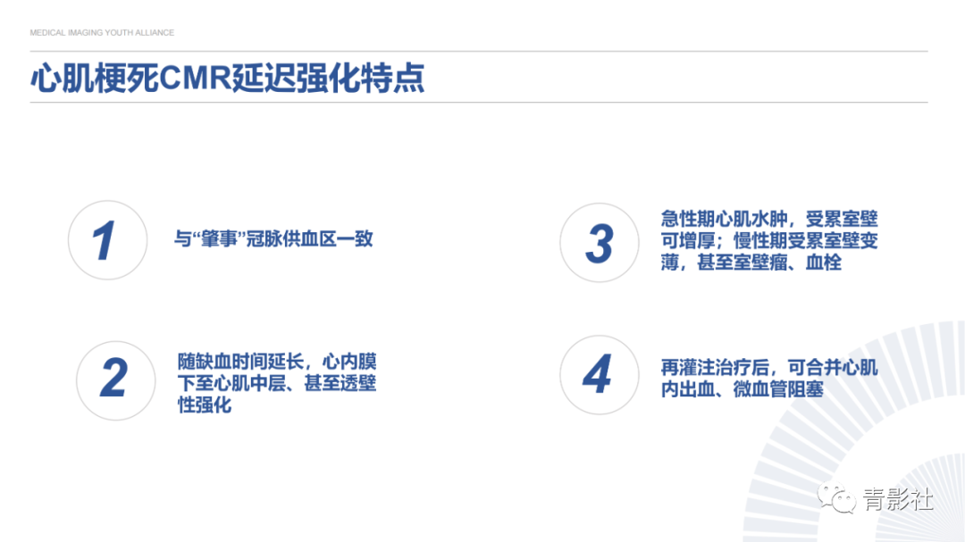 影像PPT - 【PPT】心内膜下延迟强化诊断思路-12