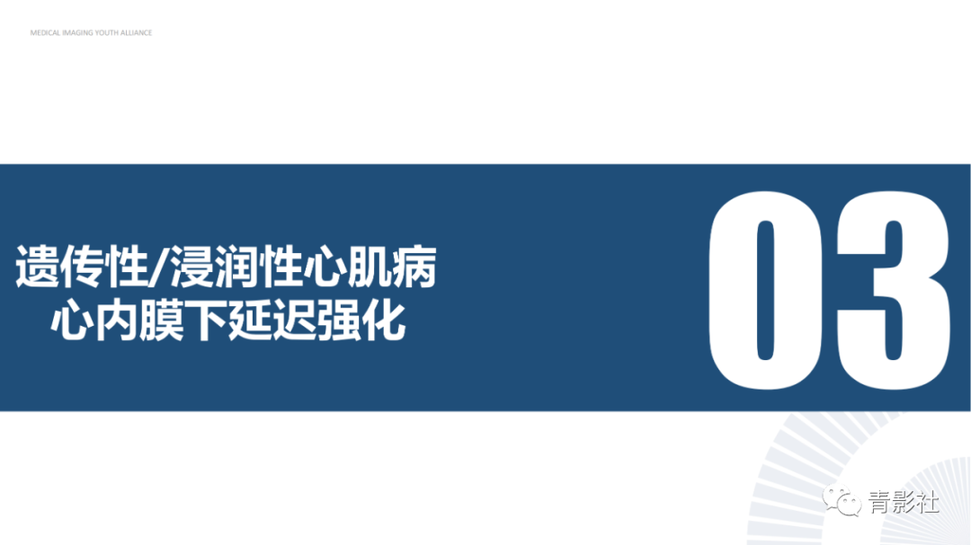 影像PPT - 【PPT】心内膜下延迟强化诊断思路-13