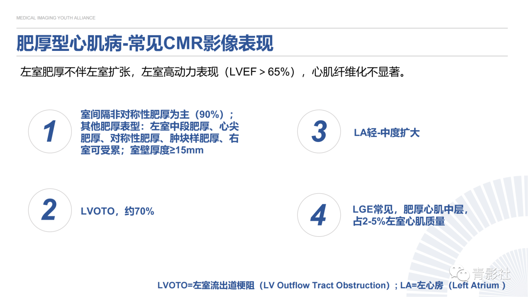 影像PPT - 【PPT】心内膜下延迟强化诊断思路-15