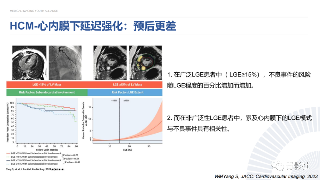 影像PPT - 【PPT】心内膜下延迟强化诊断思路-18