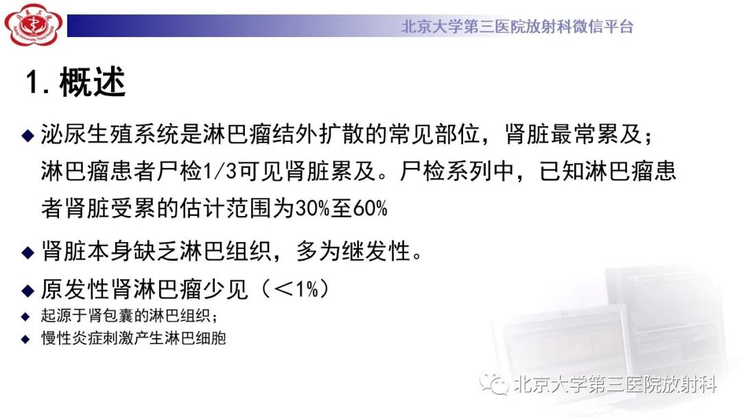 影像PPT - 【PPT】肾脏淋巴瘤-17