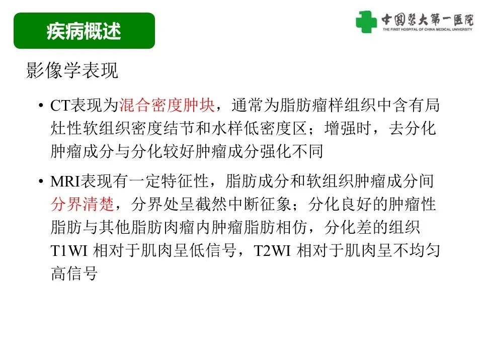 影像PPT - 【病例】腹膜后脂肪肉瘤1例CT影像-31