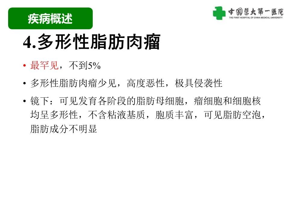 影像PPT - 【病例】腹膜后脂肪肉瘤1例CT影像-34