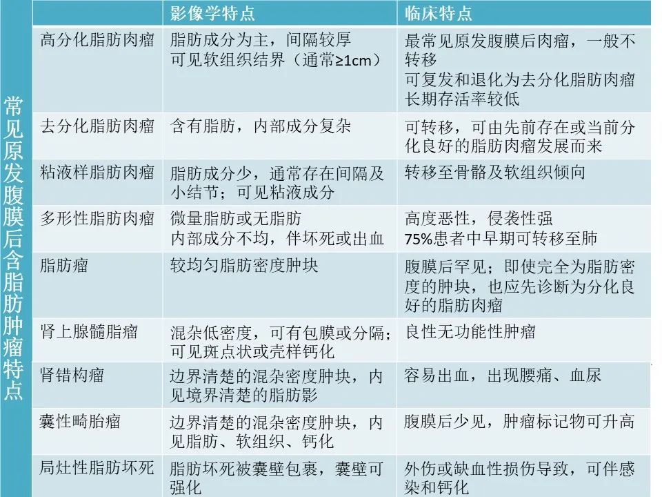 影像PPT - 【病例】腹膜后脂肪肉瘤1例CT影像-52