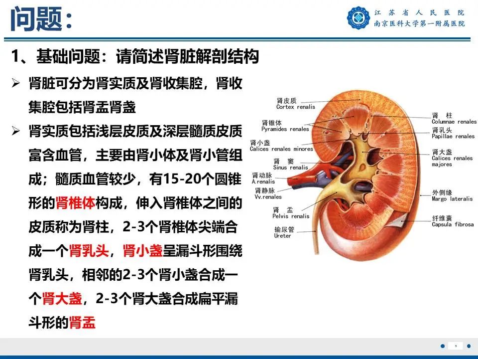 影像PPT - 【PPT】肾结核-6