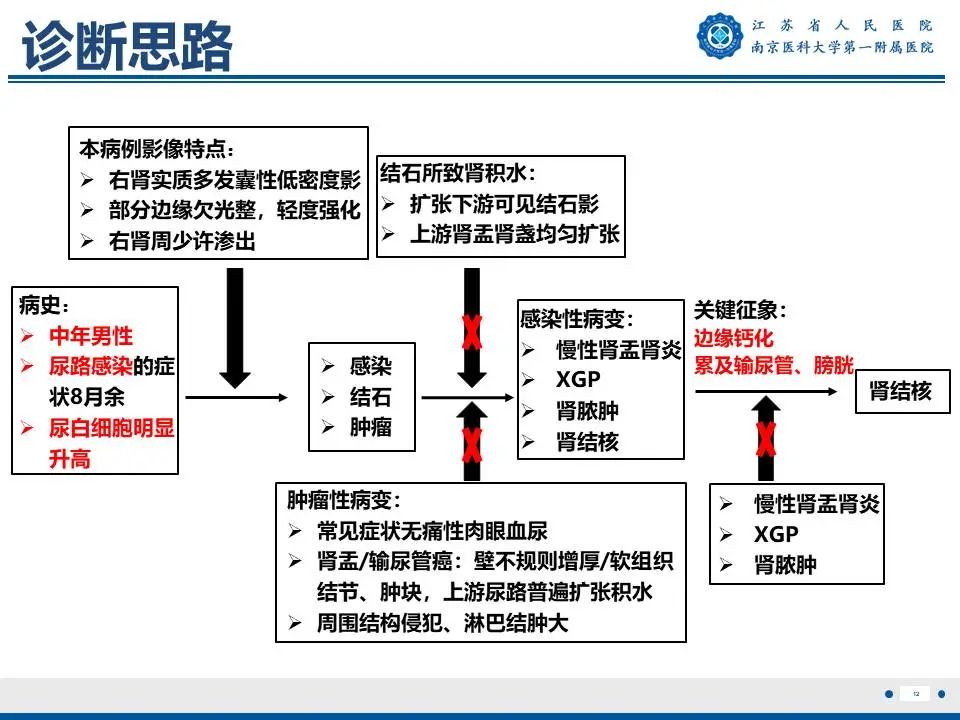 影像PPT - 【PPT】肾结核-13