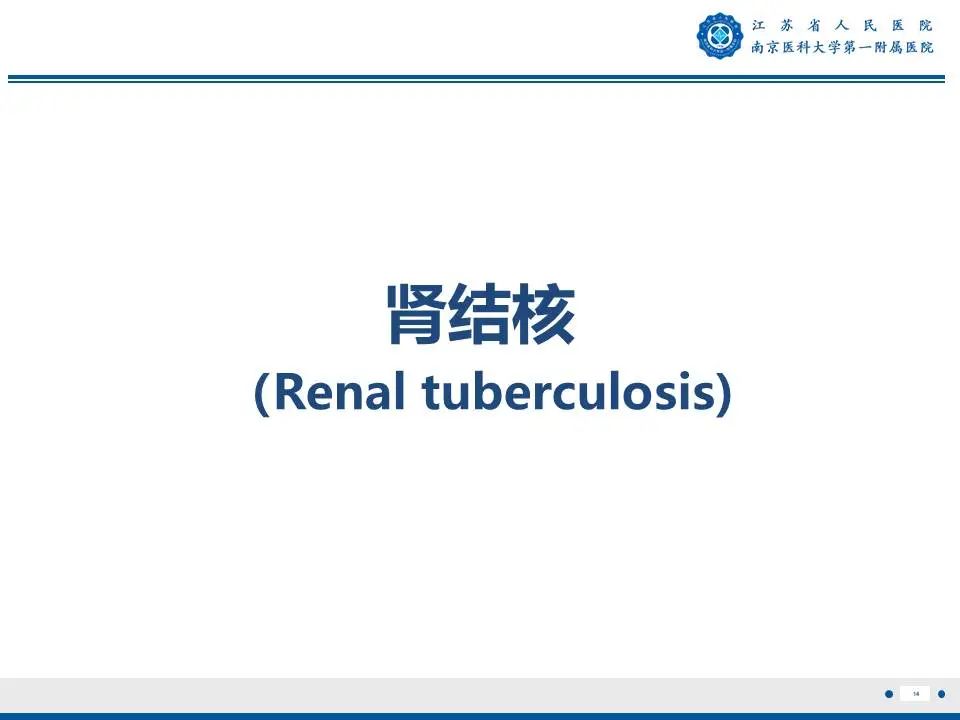 影像PPT - 【PPT】肾结核-15