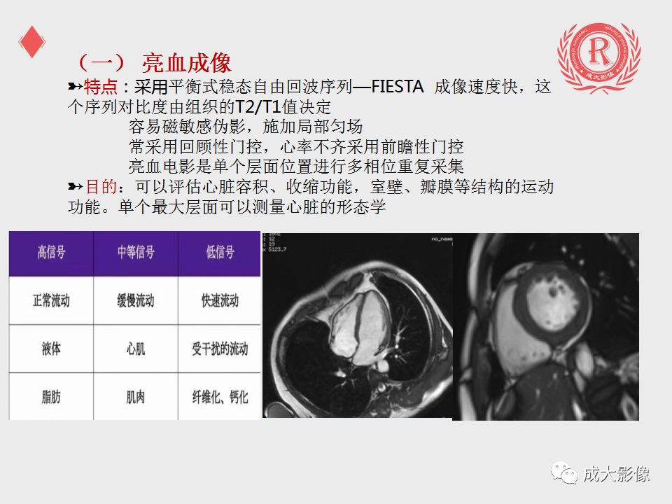 影像PPT - 【PPT】心脏MRI检查规范-5