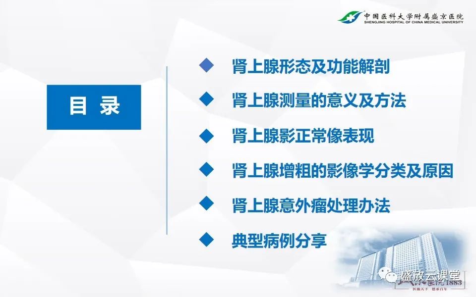 影像PPT - 【PPT】肾上腺增粗影像表现及意义-2
