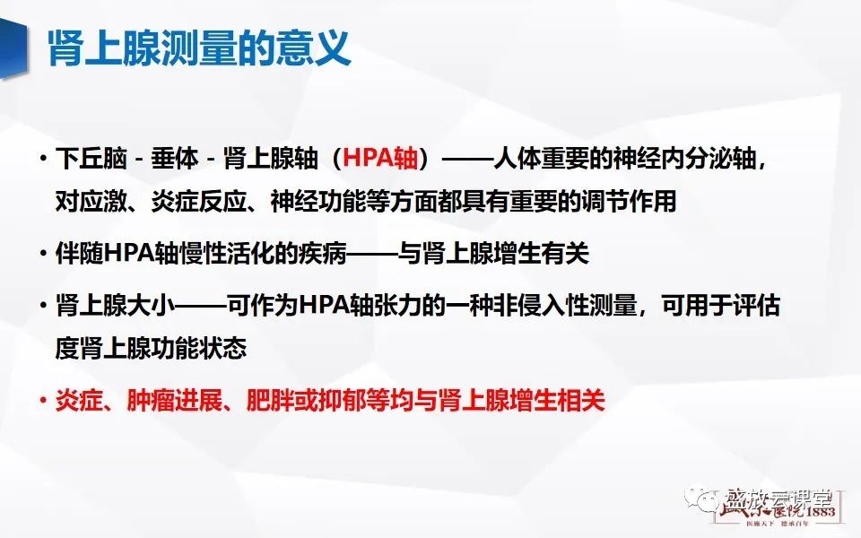 影像PPT - 【PPT】肾上腺增粗影像表现及意义-4