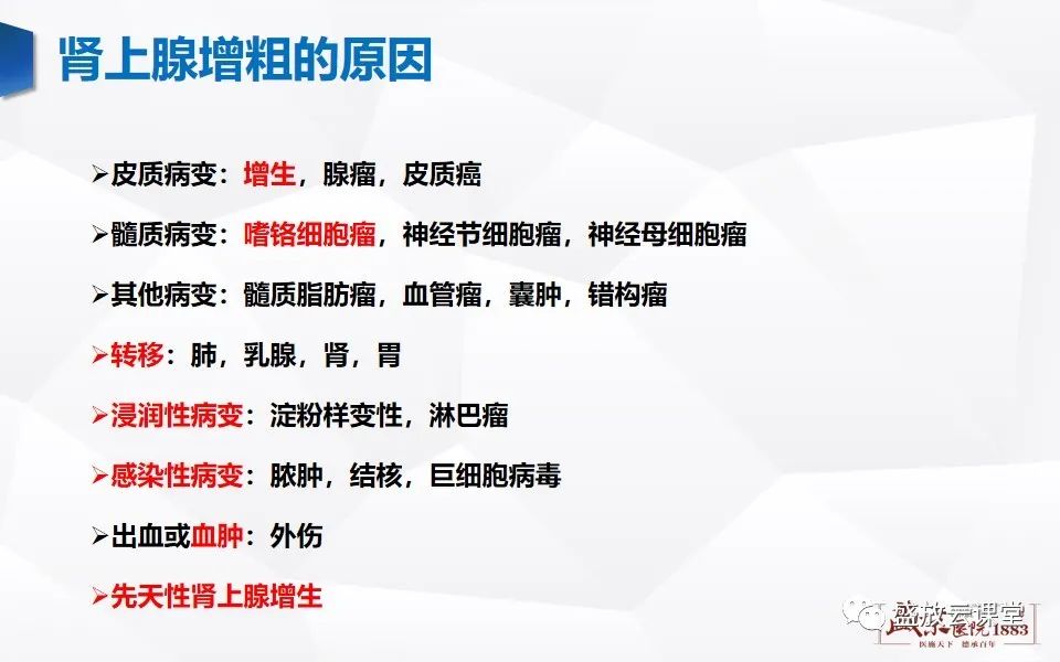 影像PPT - 【PPT】肾上腺增粗影像表现及意义-8