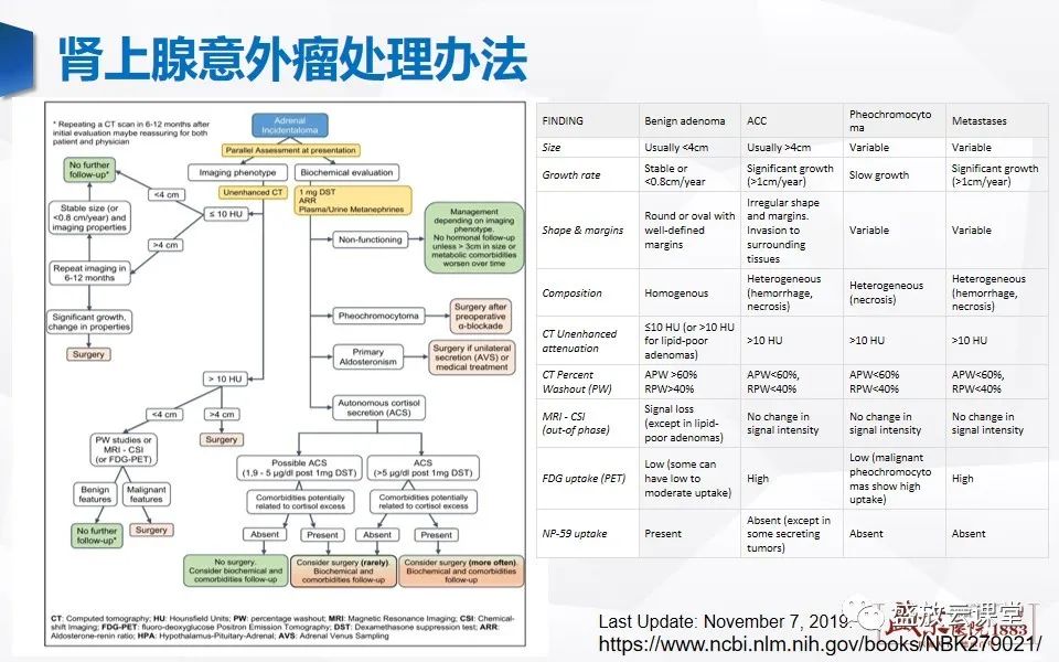 影像PPT - 【PPT】肾上腺增粗影像表现及意义-9