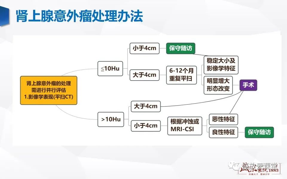 影像PPT - 【PPT】肾上腺增粗影像表现及意义-10
