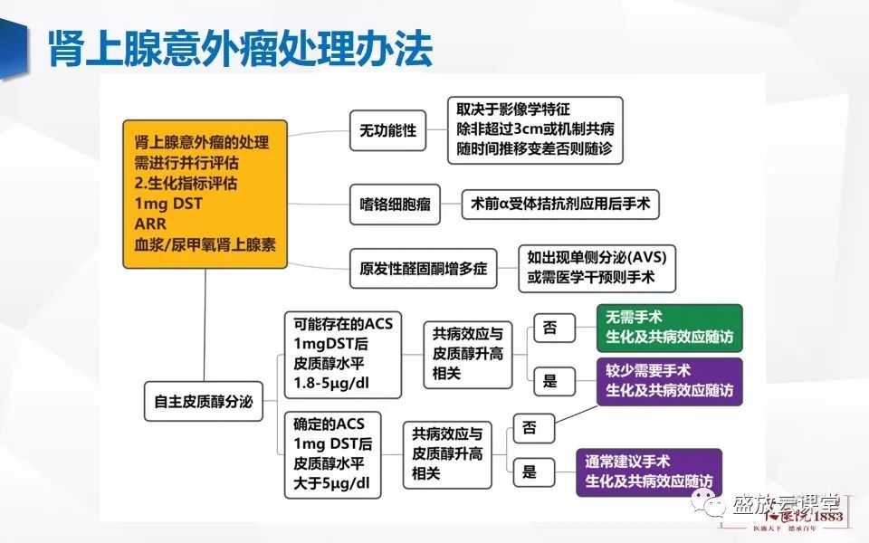 影像PPT - 【PPT】肾上腺增粗影像表现及意义-11