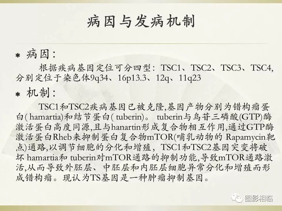 影像PPT - 【PPT】TSC临床及影像表现-8
