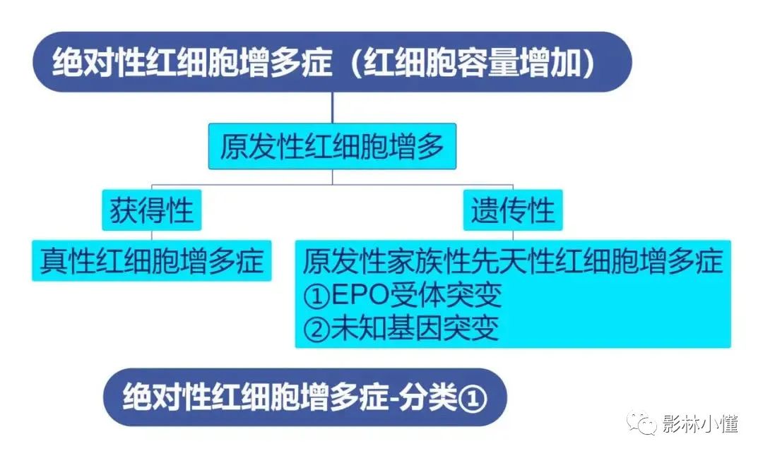 影像PPT - 【病例】红细胞增多症1例颅脑CT影像-2 影像PPT - 【病例】红细胞增多症1例颅脑CT影像-2