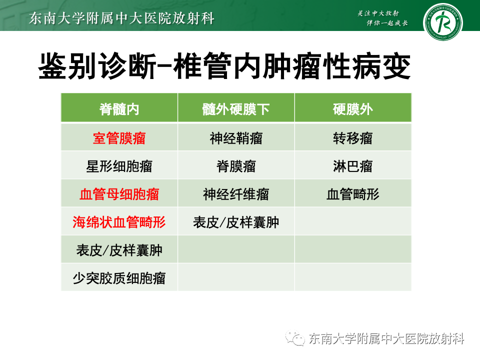 影像PPT - 【PPT】脊髓星形细胞瘤-23