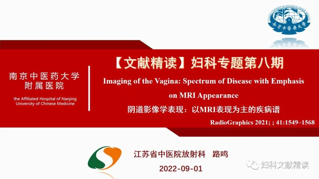 影像PPT - 【PPT】阴道病变影像诊断汇总-1 影像PPT - 【PPT】阴道病变影像诊断汇总-1
