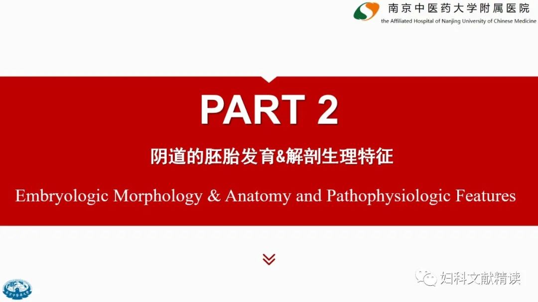 影像PPT - 【PPT】阴道病变影像诊断汇总-7 影像PPT - 【PPT】阴道病变影像诊断汇总-7