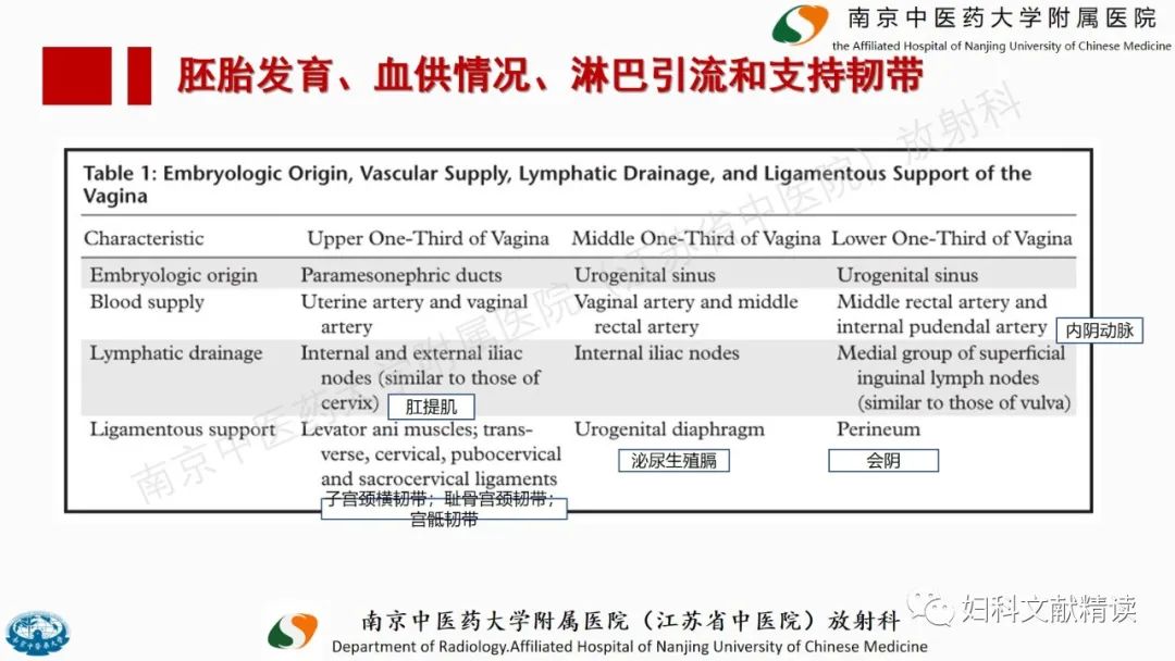 影像PPT - 【PPT】阴道病变影像诊断汇总-9 影像PPT - 【PPT】阴道病变影像诊断汇总-9