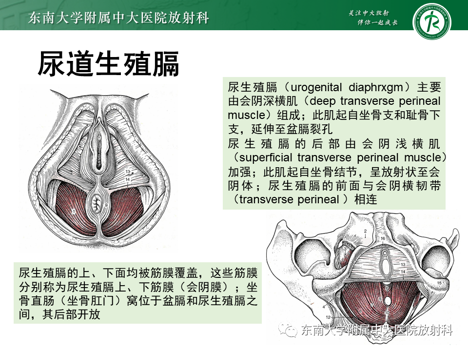 影像PPT - 【PPT】阴道病变影像诊断汇总-107 影像PPT - 【PPT】阴道病变影像诊断汇总-107