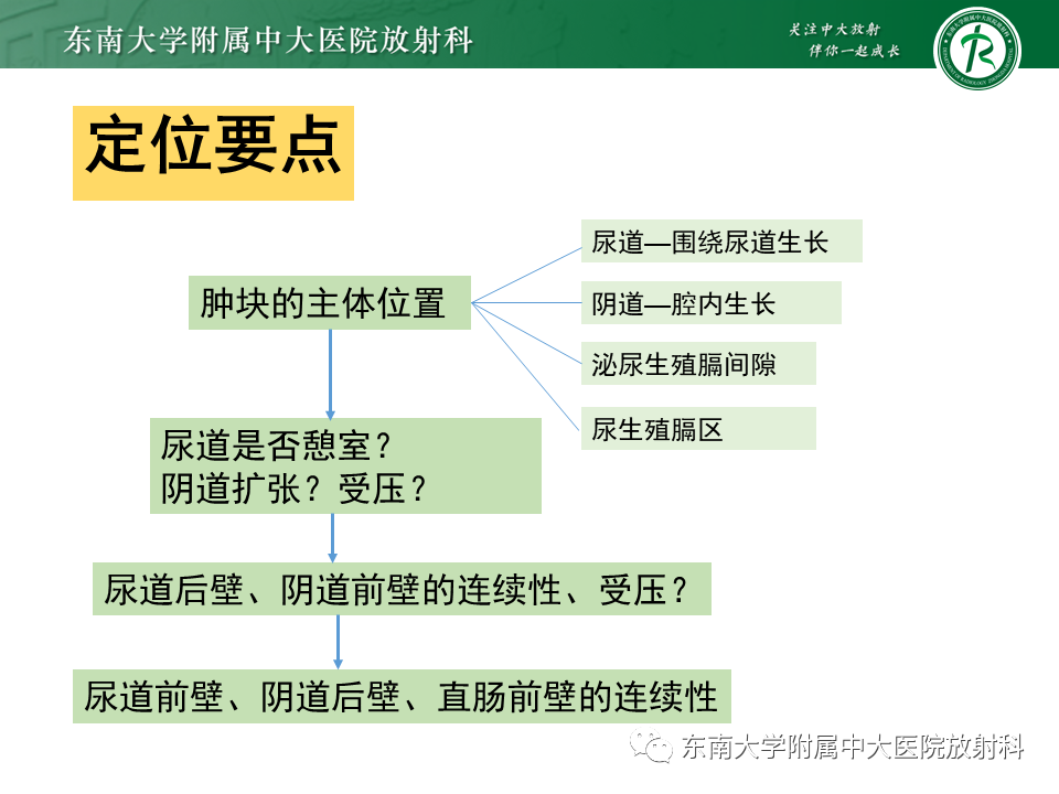 影像PPT - 【PPT】阴道病变影像诊断汇总-131 影像PPT - 【PPT】阴道病变影像诊断汇总-131