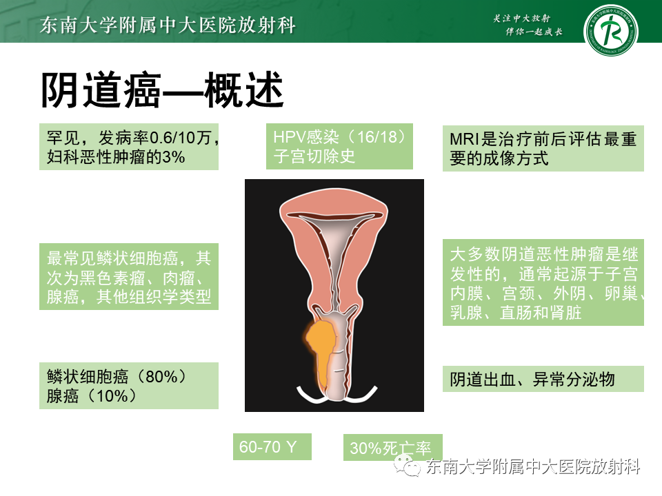 影像PPT - 【PPT】阴道病变影像诊断汇总-136 影像PPT - 【PPT】阴道病变影像诊断汇总-136