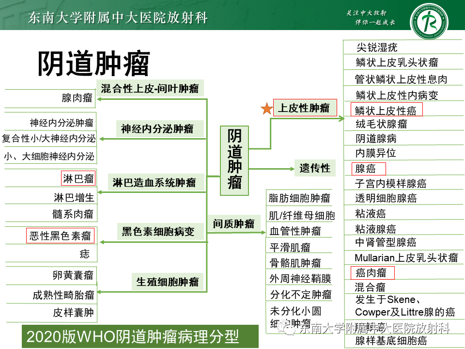 影像PPT - 【PPT】阴道病变影像诊断汇总-156 影像PPT - 【PPT】阴道病变影像诊断汇总-156