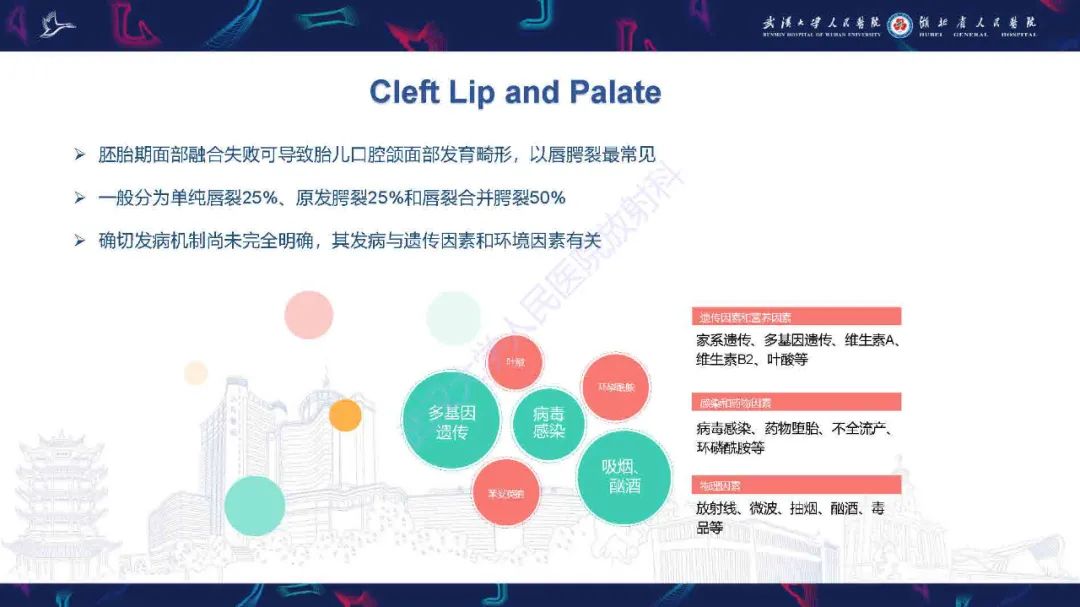 影像PPT - 【PPT】先天性唇腭裂影像诊断-5