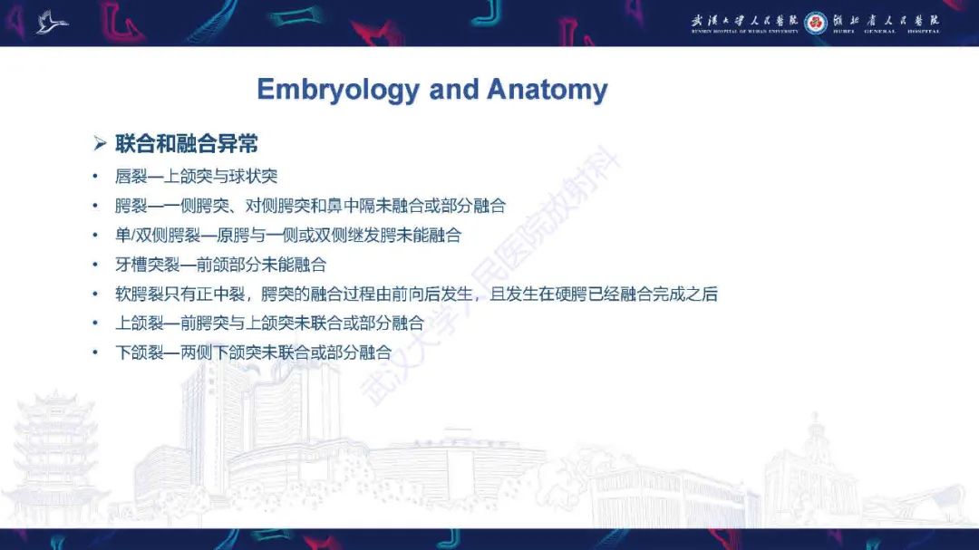 影像PPT - 【PPT】先天性唇腭裂影像诊断-11