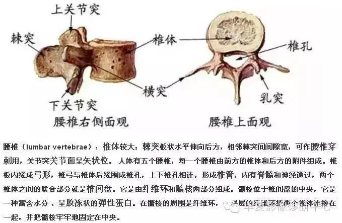 影像PPT - 容易忽略的十个腰椎MRI的征象-22 影像PPT - 容易忽略的十个腰椎MRI的征象-22