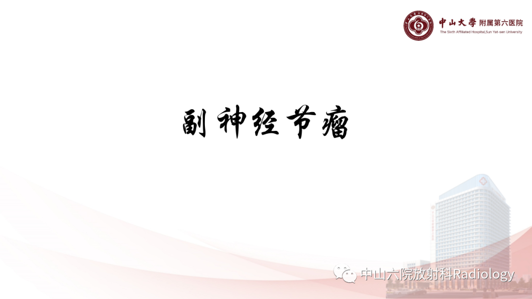 影像PPT - 【PPT】 副神经节瘤影像表现-5