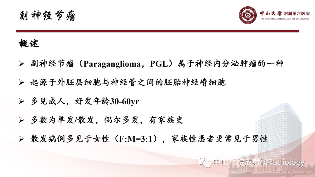 影像PPT - 【PPT】 副神经节瘤影像表现-6