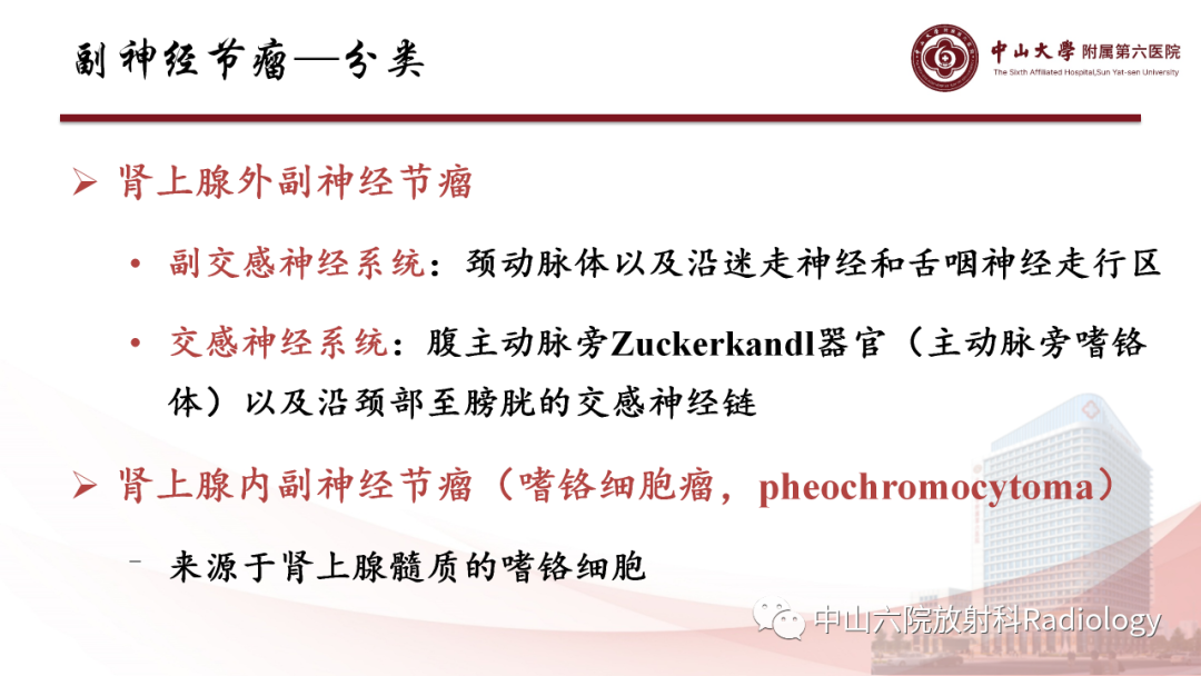 影像PPT - 【PPT】 副神经节瘤影像表现-7