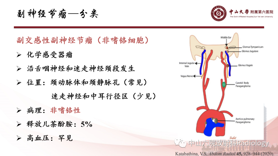 影像PPT - 【PPT】 副神经节瘤影像表现-8