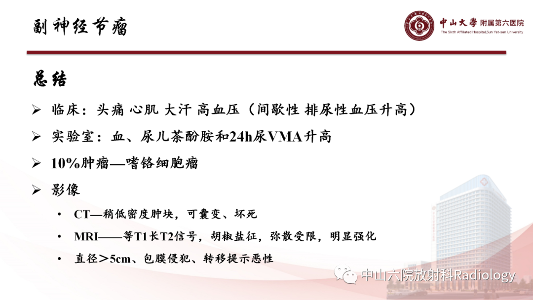 影像PPT - 【PPT】 副神经节瘤影像表现-31