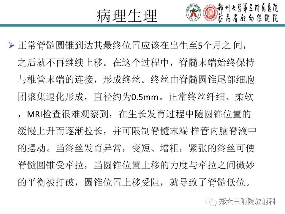 影像PPT - 【PPT】脊髓栓系综合征-3