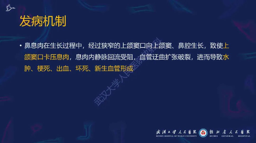 影像PPT - 【PPT】出血坏死性鼻息肉影像诊断-7