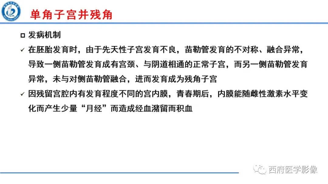 影像PPT - 【病例】多囊卵巢综合征1例MR影像诊断与鉴别-12