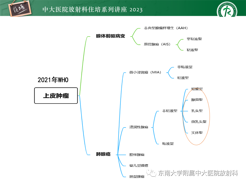 影像PPT - 【PPT】肺癌影像征象及病理分析-35