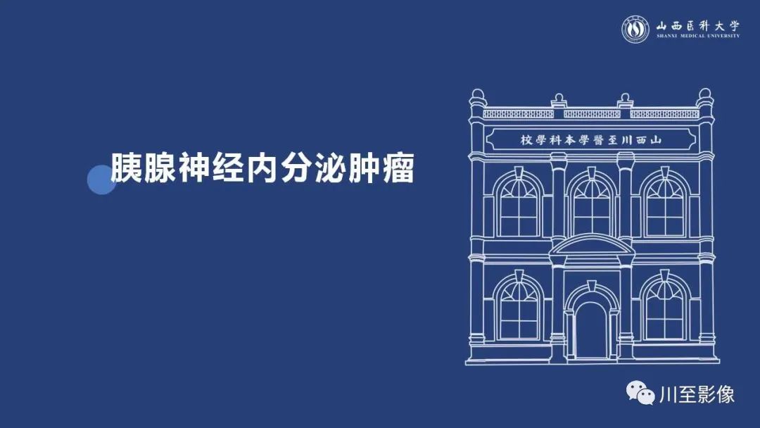 影像PPT - 【PPT】胰腺神经内分泌肿瘤-12
