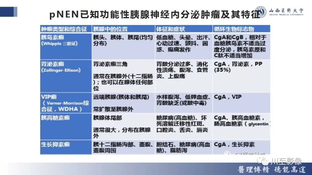 影像PPT - 【PPT】胰腺神经内分泌肿瘤-16