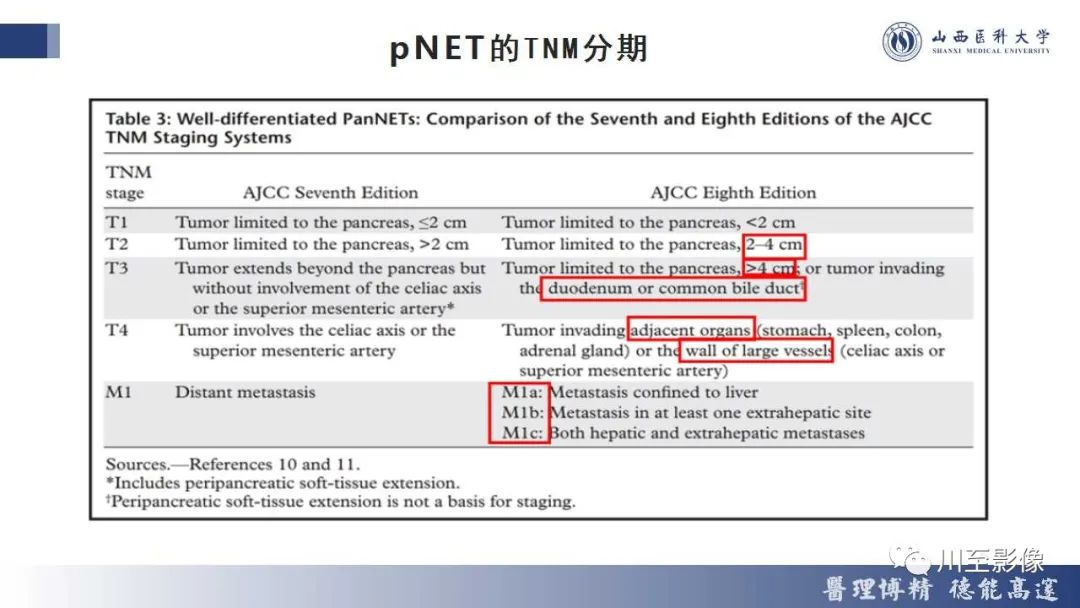 影像PPT - 【PPT】胰腺神经内分泌肿瘤-19