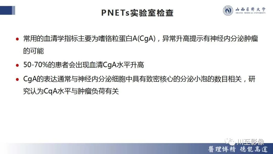 影像PPT - 【PPT】胰腺神经内分泌肿瘤-21