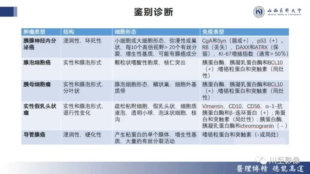 影像PPT - 【PPT】胰腺神经内分泌肿瘤-25