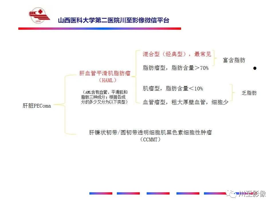 影像PPT - 【PPT】肝脏血管周上皮样细胞肿瘤-20