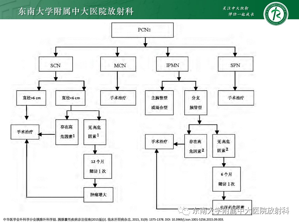 影像PPT - 【PPT】胰腺实性假乳头状瘤-36 影像PPT - 【PPT】胰腺实性假乳头状瘤-36